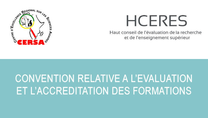 Le programme Master du CERSA engagé dans un processus d’accréditation