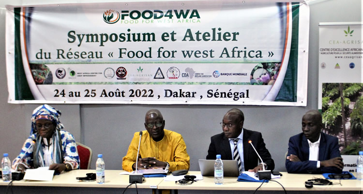 La sécurité alimentaire au centre d’un symposium du réseau Food For West Africa à Dakar