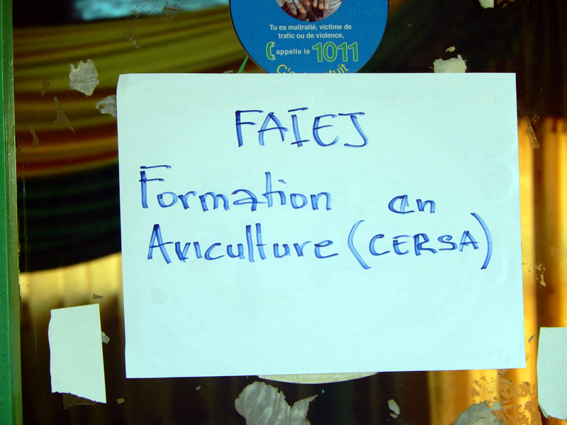 FAEIJ - CERSA : Formation en Aviculture à Kara